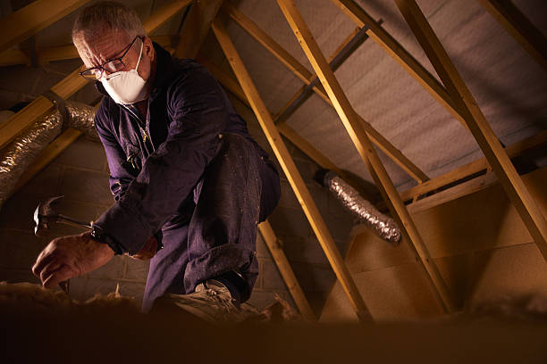 Best Cellulose Insulation in Pleasant Run, OH